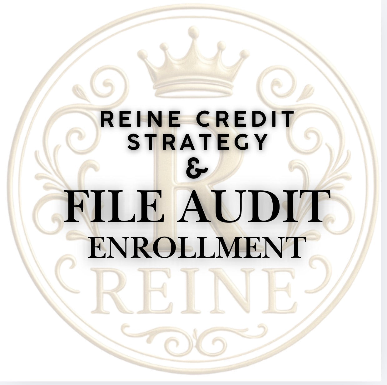 Reine Credit Strategy & File Audit Enrollment
